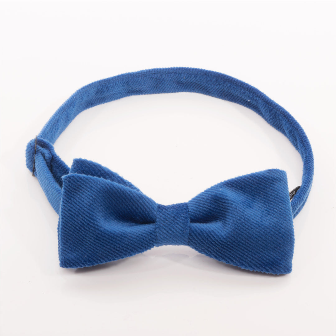 Royal blue Enzo velvet bow tie with adjustable neckband