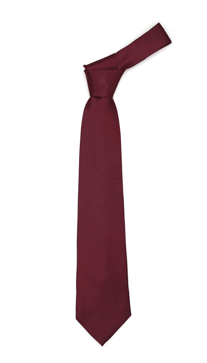 Premium Microfiber Plum Necktie - FHYINC best men&