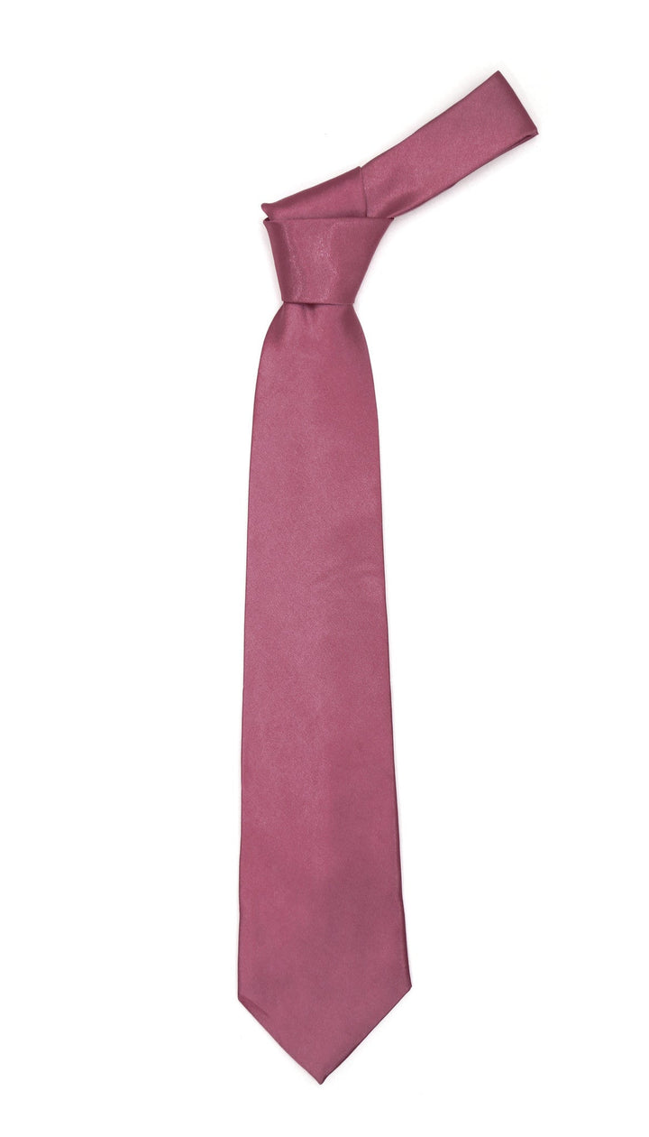 Premium Microfiber Violet Necktie - FHYINC best men&
