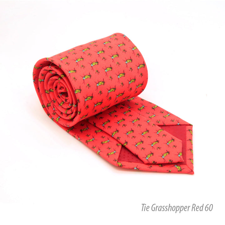 Grasshopper Red Necktie with Handkerchief Set - FHYINC best men&