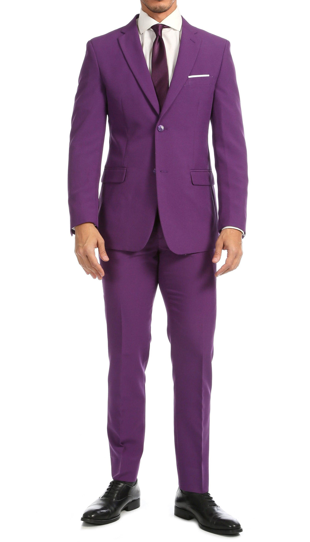 Paul Lorenzo Mens Purple Slim Fit 2 Piece Suit
